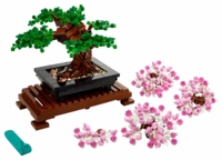 10281 Bonsai Tree