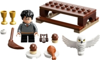 30420 Harry Potter™ and Hedwig™: Owl Delivery