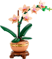 10343 Mini Orchid