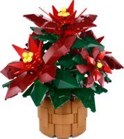 10370 Poinsettia