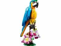 31136 Exotische papegaai