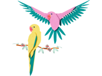 31211 De Faunacollectie – Kleurrijke papegaaien