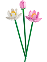 40647 Lotusbloemen