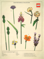 5007798 Botanical Collection Art Print – Bouquet
