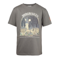 5008033 Harry Potter™ T-Shirt – Grau
