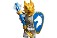 71047-4 Dragonborn Paladin