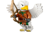 71047-6 Aarakocra Ranger