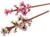 40725 Kirschblüten