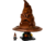 76429 Talking Sorting Hat™